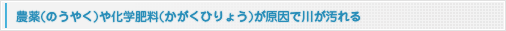 農薬や化学肥料が原因で川が汚れる－地球温暖化